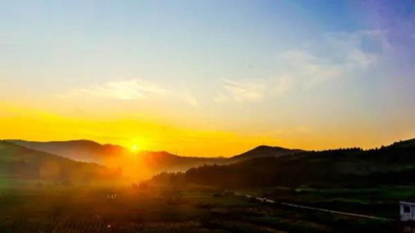 翠鳥鳴朝陽（原創）
