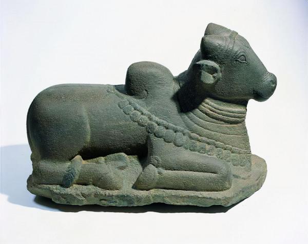 印度身價2100萬的“神牛”,配一次種收5萬元,每天都要喝威士忌 印度身價2100萬的“神牛”,配一次種收5萬元,每天都要喝威士忌