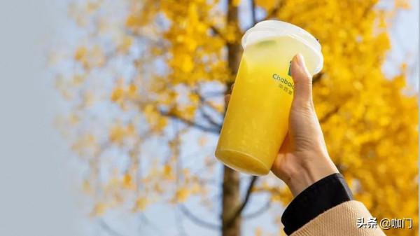 獨家對話茶百道：門店破5000家，閉店率1%，怎麼做到的？