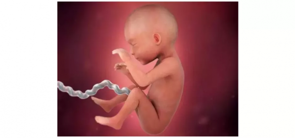 如何推算預產期？