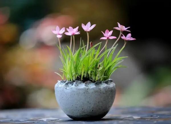 人生的抉擇 人生的抉擇