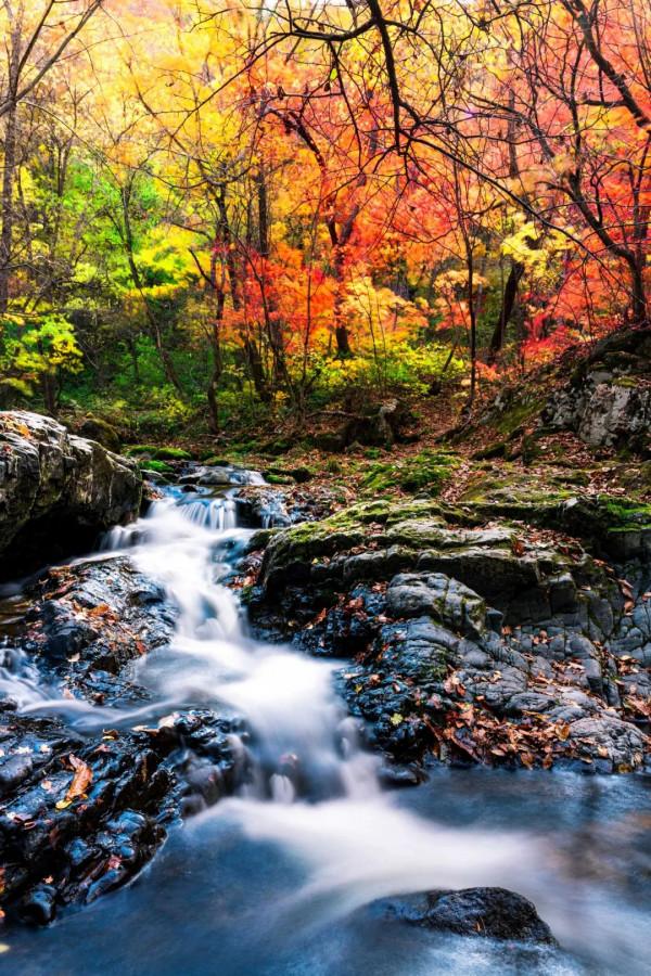 中國最美的50個地方,我竟然只去過10個,你呢? 中國最美的50個地方,我竟然只去過10個,你呢?