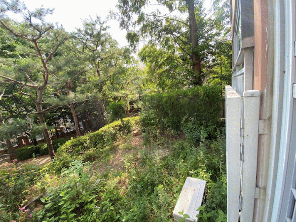 這位80後太太很有眼光，買下被人嫌棄的一樓，裝修後被超多人羨慕