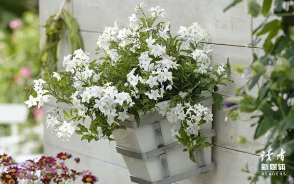 楊絳先生的10句話,教你做個純粹的人 楊絳先生的10句話,教你做個純粹的人