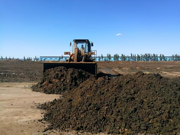 牛屎變可充電式電池？英國乳業公司提供100萬噸牛糞為120萬戶供電