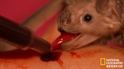 為什麼要保護這麼卑鄙的東西? 為什麼要保護這麼卑鄙的東西?