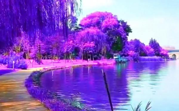 分享~中國最美的風景圖 太美啦