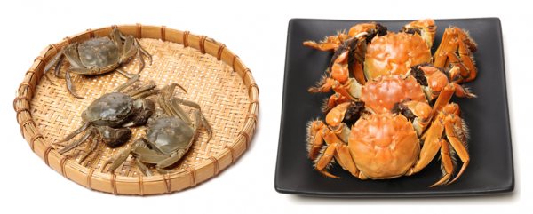 螃蟹：我熟了，也紅了