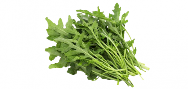 輕食乾貨！蔬菜基底科普大全，輕食創業蔬菜基底怎麼選？