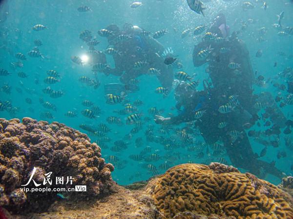 海南陵水：暢遊海底世界