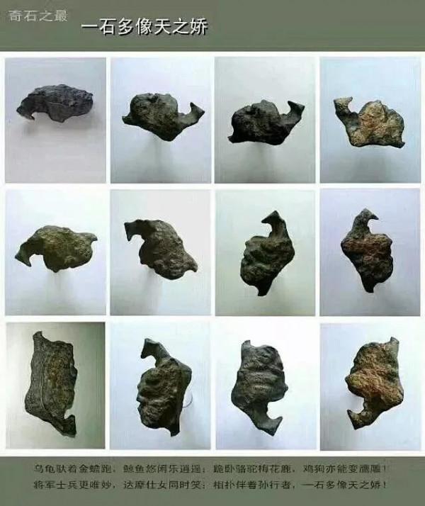 大川藏石56圖分享，天然奇石美不勝收