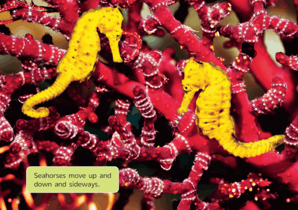 1.4折我愛了!是大家都想要的國家地理 1.4折我愛了!是大家都想要的國家地理