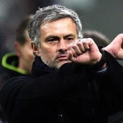 我就是魔力鳥的人迷 我就是魔力鳥的人迷