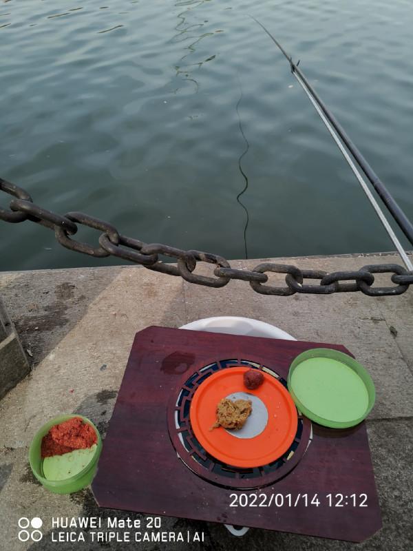 五個小時半碗淚水感動了水裡的精靈