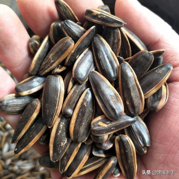 女人體重一旦過110斤，過年不建議多吃這5種年貨，熱量比紅燒肉高
