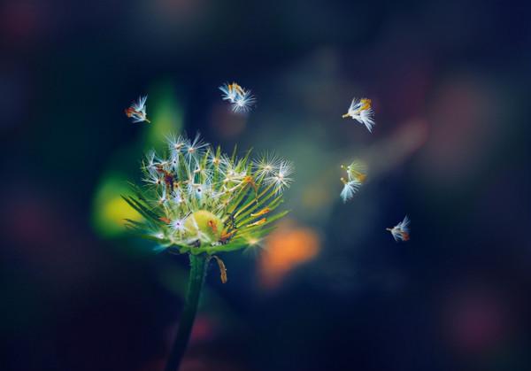 心理學:情商不高的人什麼樣,這10個高情商“特徵”,你有幾個 心理學:情商不高的人什麼樣,這10個高情商“特徵”,你有幾個