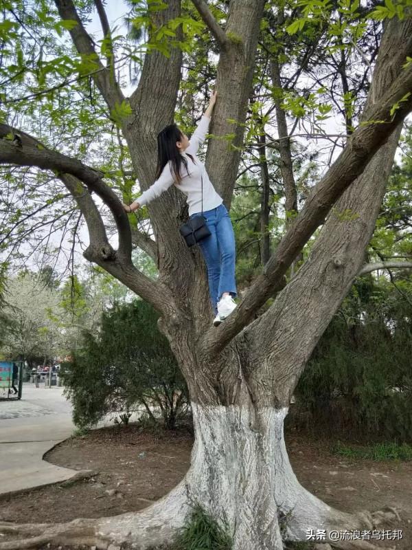 散文：殘月無枯顏，魂牽夢續讀
