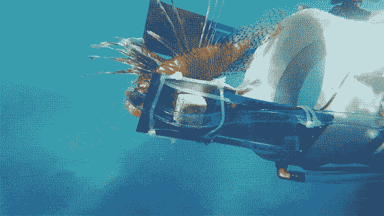 全國科普日|見識一下,海洋中的硬核“黑科技” 全國科普日|見識一下,海洋中的硬核“黑科技”