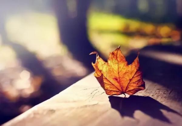 你想得到好“運”嗎?請好好實踐這三大方法 你想得到好“運”嗎?請好好實踐這三大方法