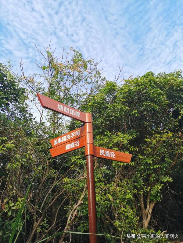 塘朗山&plus;深雲谷，我一天連爬這兩座山，也是沒誰了