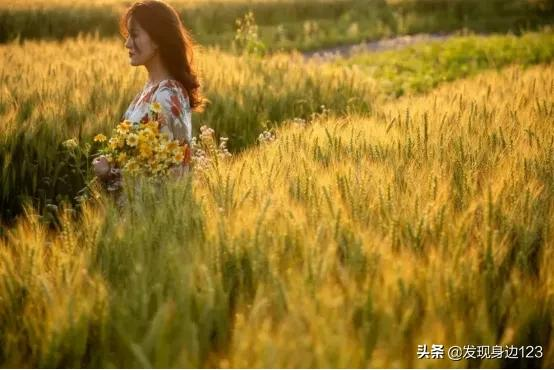 農莊案例展示（英國伊甸園+定製活動+田園場景）