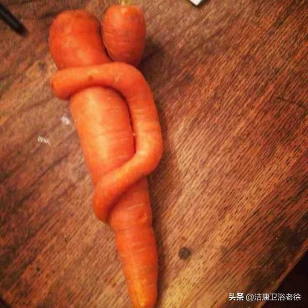 奇葩的&OpenCurlyDoubleQuote;藝術造型&rdquo;蔬菜！沒有神奇、只有更奇 &num;金粉社群&num;