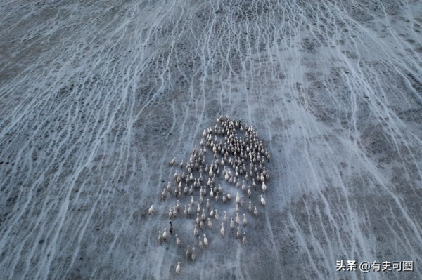 2021年最黯淡的14張照片，這個世界究竟咋了？