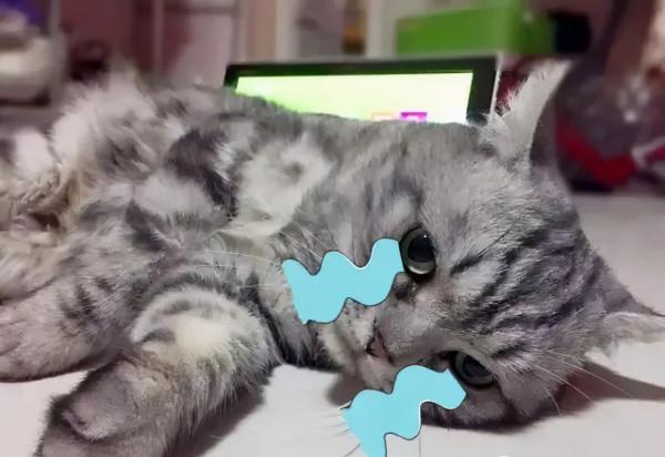 一入採購深似海,從此週末是路人 一入採購深似海,從此週末是路人