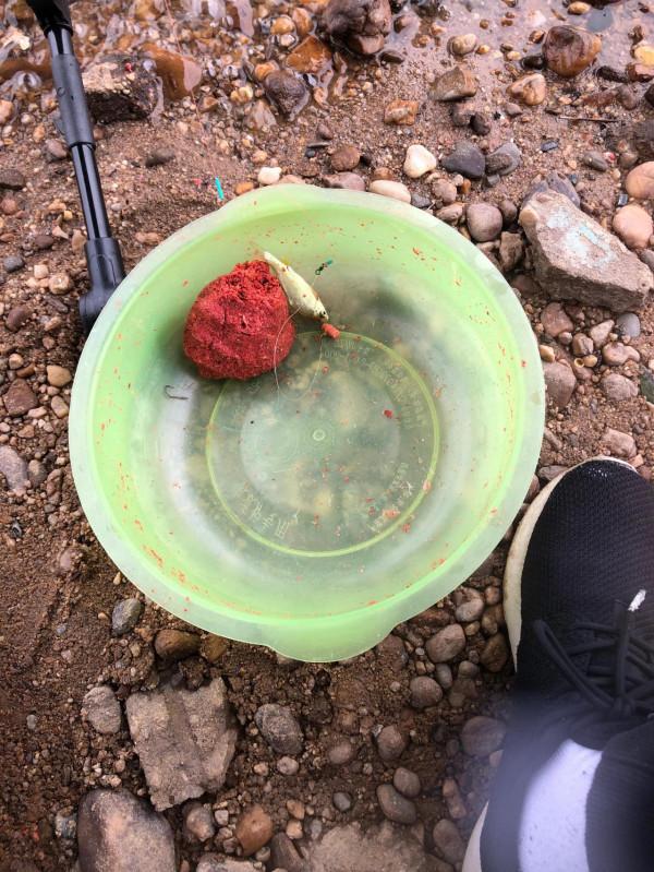 午後贛江邊-新魚竿開光 午後贛江邊-新魚竿開光