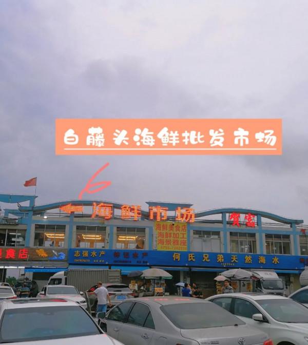 如果你是第一次去珠海，這些爆火的地點一定要打卡