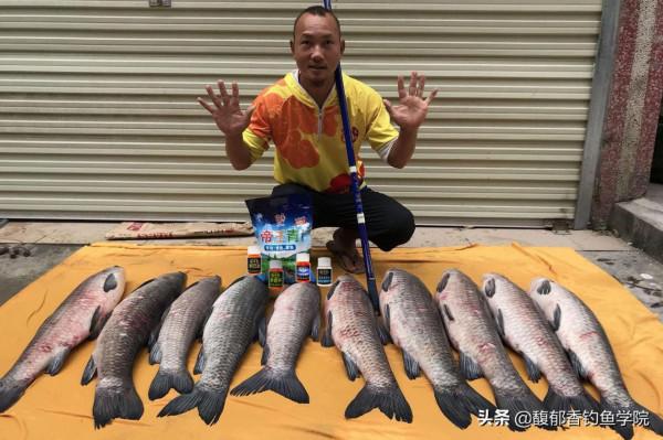 國慶節假期適合釣哪些魚類?國慶節假期的釣魚攻略 國慶節假期適合釣哪些魚類?國慶節假期的釣魚攻略