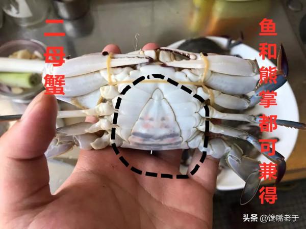 買梭子蟹不會挑?船老大教你3招,個個膏滿黃肥,保準一挑一個肥 買梭子蟹不會挑?船老大教你3招,個個膏滿黃肥,保準一挑一個肥