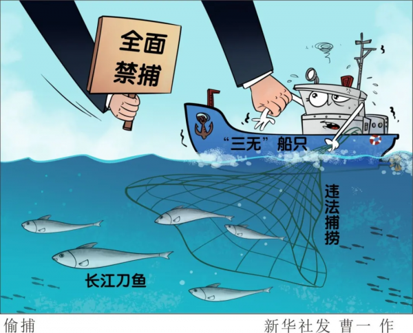 來自長江的微笑，請查收