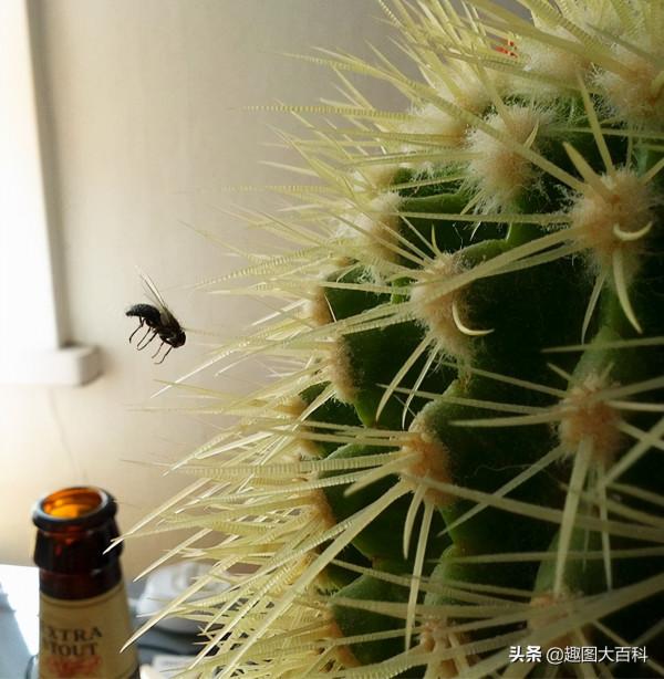 41張“活久未見”的巧合圖片，讓人感覺很難相信這是真的