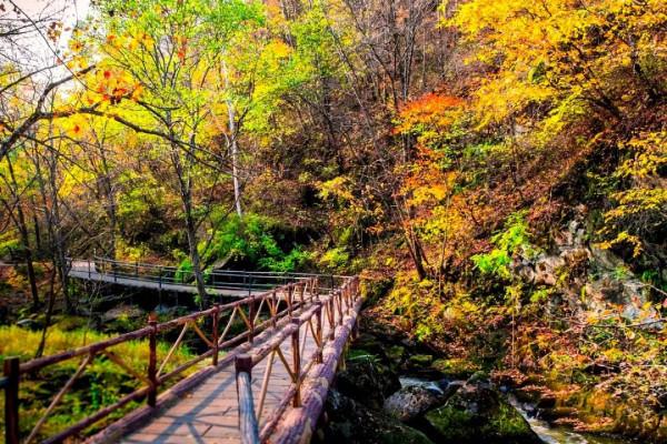 中國秋色正在上演!這9條自駕線,帶你領略不一樣的秋色 中國秋色正在上演!這9條自駕線,帶你領略不一樣的秋色