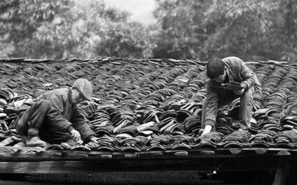 開國中將劉忠回鄉尋母，卻發現母親沿街乞討，痛哭大呼：兒不孝啊