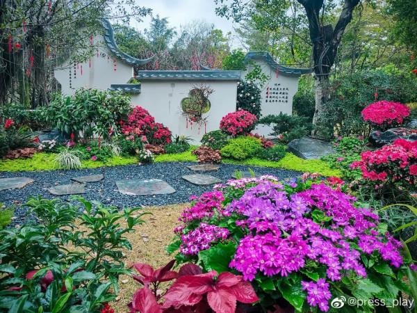 虎年說福 &vert; 春節要打烊？沒關係！咱還可以繼續浪