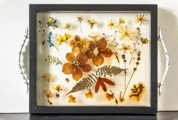 28個植物牆藝術創意，家居裝飾必備乾貨，趕快get起來