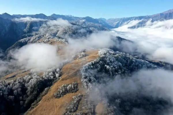 「甘海子」高山牧場,霧凇奇景 「甘海子」高山牧場,霧凇奇景