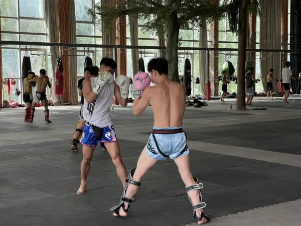 搏擊的五大訣竅詳解之“迅”，大東翔教練手把手教你