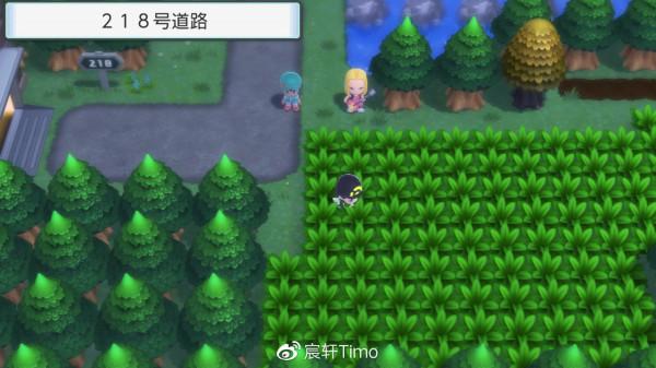 也許你需要這個——DP復刻的寶可夢培養