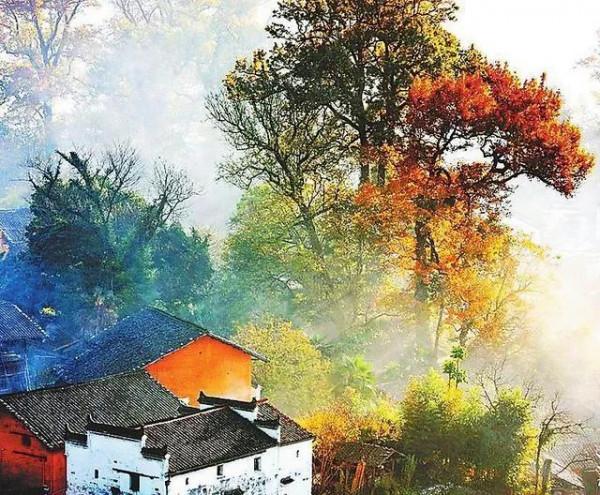 20個能背得過的千古名句，但不一定知道都出自哪些詩詞