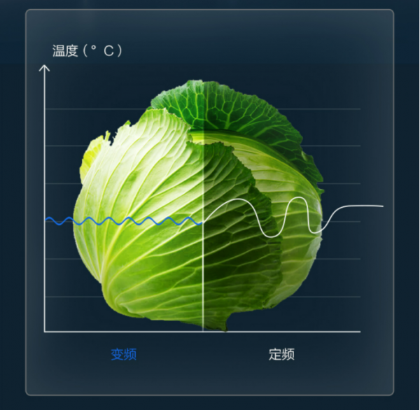 智造鮮技術 淨享鮮滋味 TCL R437T7-D UVC 殺菌冰箱新鮮評測 智造鮮技術 淨享鮮滋味 TCL R437T7-D UVC 殺菌冰箱新鮮評測