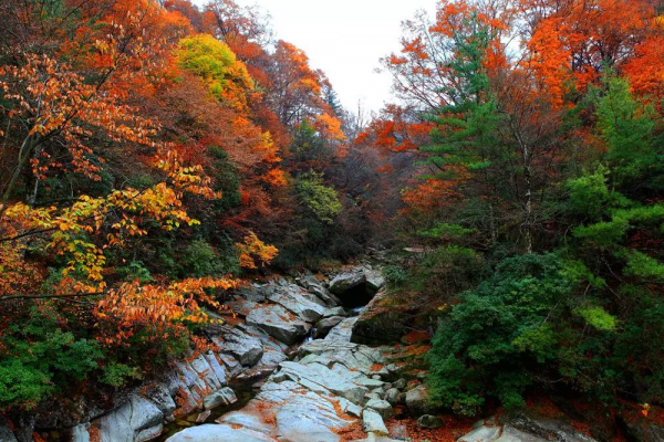 秋色來襲!7條自駕公路一網打盡四川最美風光,你去過幾條? 秋色來襲!7條自駕公路一網打盡四川最美風光,你去過幾條?