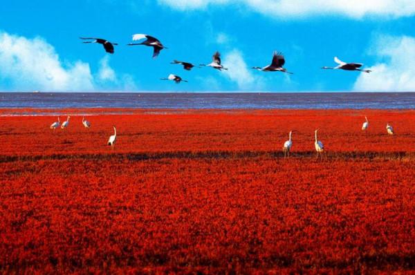 冬天國內風景絕美的自駕遊好去處推薦 冬天國內風景絕美的自駕遊好去處推薦