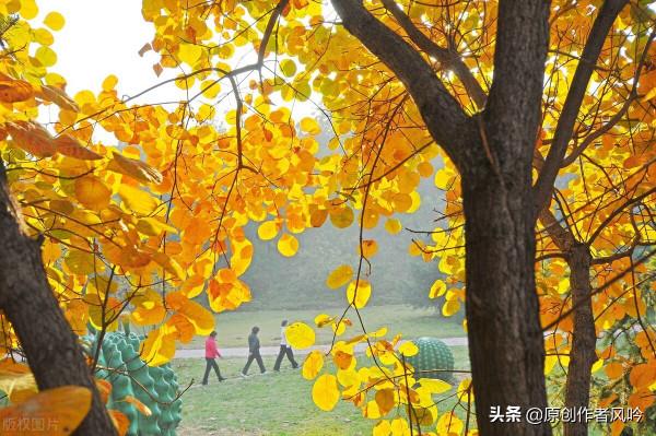 駢文辭章:立冬賦 駢文辭章:立冬賦