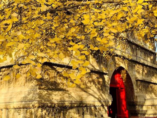 北京這10個免費景點，好看又好玩，還能拍出好照片