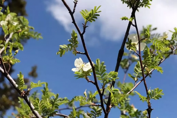 中國絕美的15個旅行地,每個都與眾不同,去了就捨不得離開 中國絕美的15個旅行地,每個都與眾不同,去了就捨不得離開