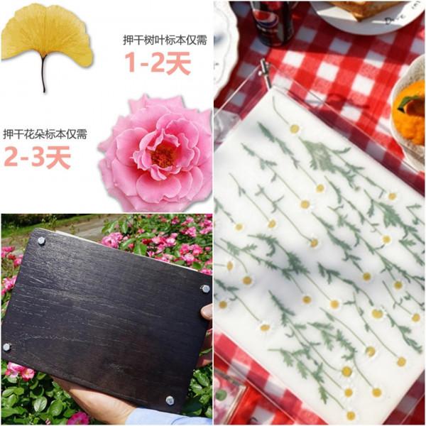 嗨購好物|用這些小物填滿親子時光,重拾童年樂趣 嗨購好物|用這些小物填滿親子時光,重拾童年樂趣