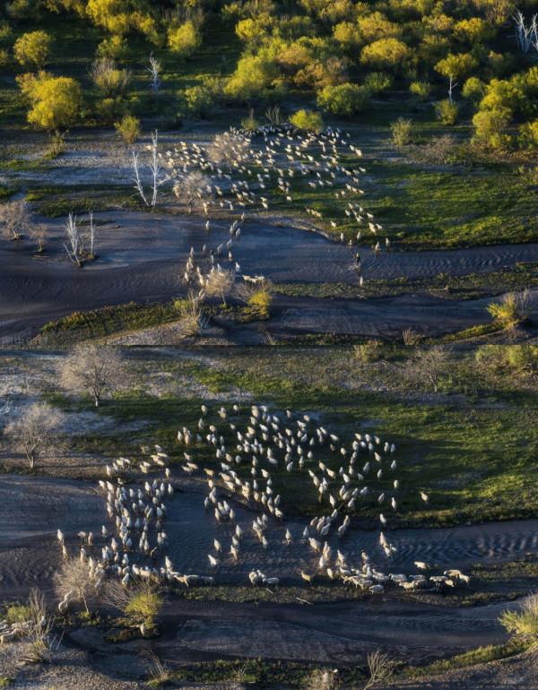 沿途皆如天堂!這10條深秋路線,去過一半就邂逅中國大半的美 沿途皆如天堂!這10條深秋路線,去過一半就邂逅中國大半的美